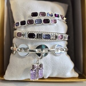 Elegant Silver and Purple Bracelet Set